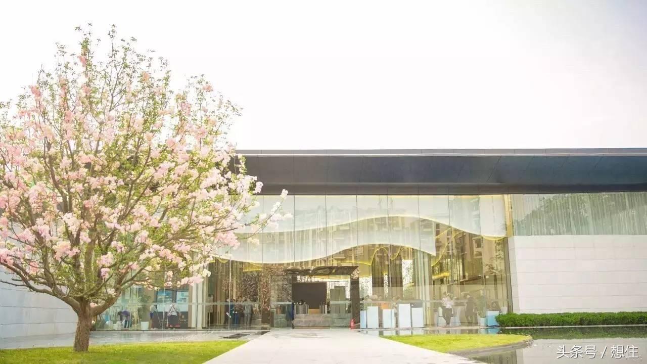 成都武侯新城板块分析,成都武侯新城最新房价