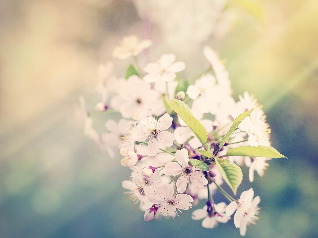 小扇引微凉悠悠夏日长全诗,小扇引微凉悠悠夏日长什么意思