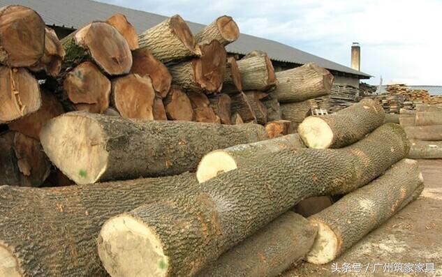 白蜡木和水曲柳是一种树吗,白蜡木跟水曲柳