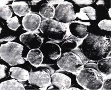 纺织纤维衣服好不好,纺织纤维的衣服质量怎么样