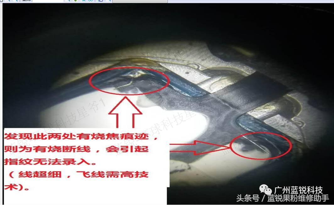 iphone6splus没有指纹怎么修复,iphone6s录不上指纹怎么办