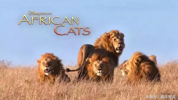 假期一定要带孩子看的5部纪录片,孩子必看的10部自然纪录片