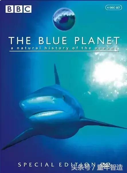 假期一定要带孩子看的5部纪录片,孩子必看的10部自然纪录片