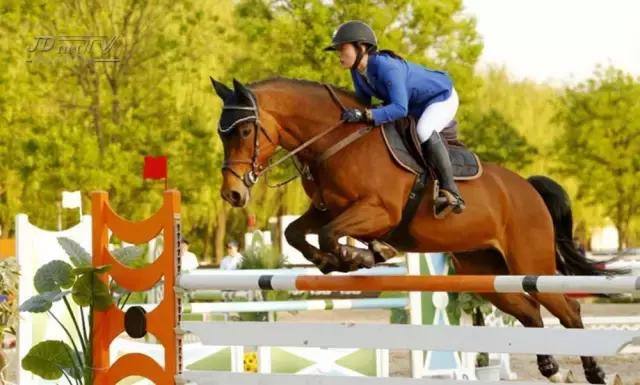 鸟巢之路马术巡回赛,2022鸟巢之路马术比赛观看渠道