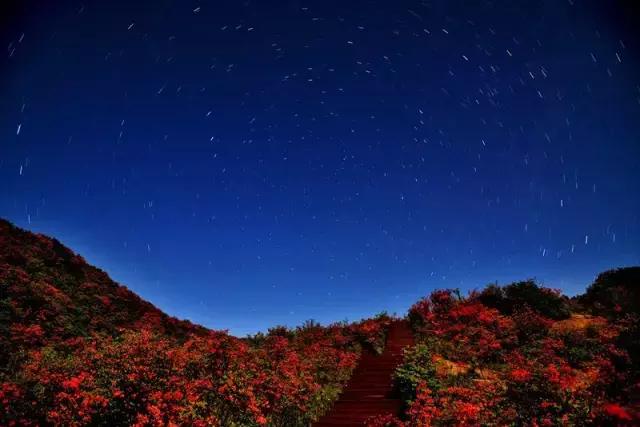 浏阳大围山杜鹃花旅游攻略,湖南浏阳大围山杜鹃花节一日游