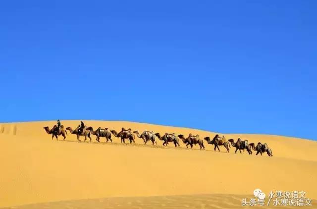 不要为了平时的每次考试随意调整学习节奏