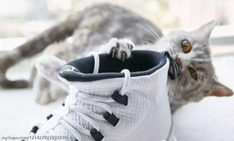 不负责球鞋评测zoomlive,jordanultrafly2实战评测