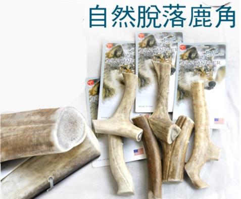 家有喵哥汪弟，体验好物帮你挑