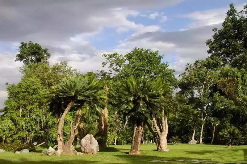 泼水节后，西双版纳该怎么玩，附防高温注意事项