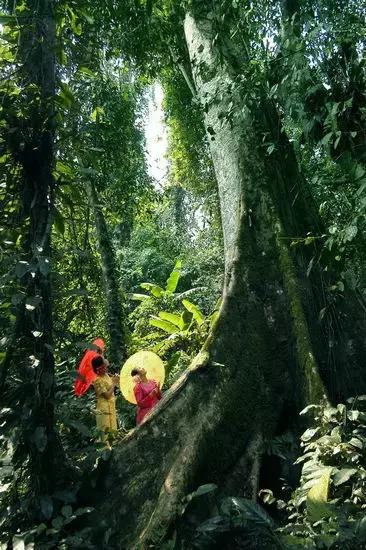 景洪泼水节注意事项,西双版纳泼水节如何不被泼