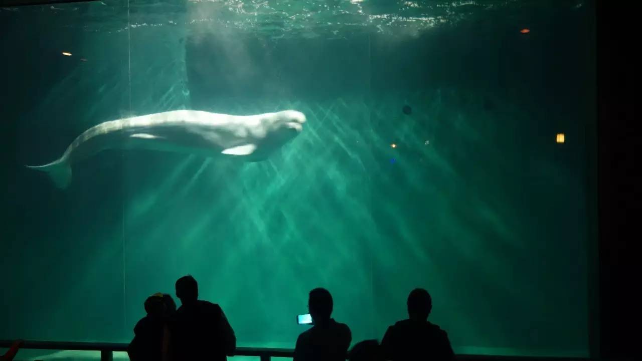 大连好玩的地方滨海路,大连东北路有什么好玩的