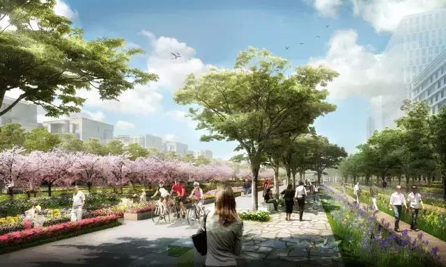 上海八万人体育场故地重游,上海八万人体育场最新进展