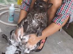 酝酿半天觉得不够自然,酝酿了好久却结果不如意