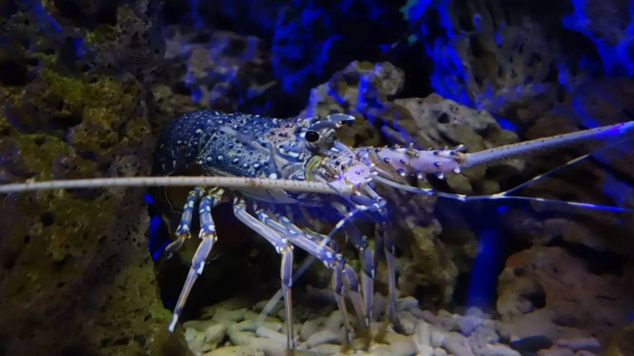 大连好玩的地方滨海路,大连东北路有什么好玩的