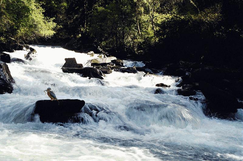 读尽天下书识尽天下字,只学一篇韵文便识天下汉字