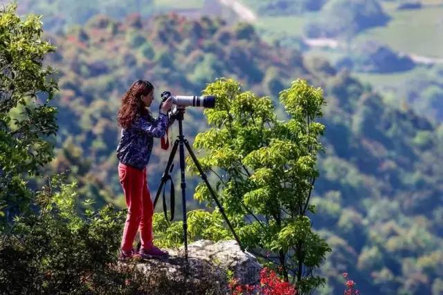 摄友作品点评,4月拍照