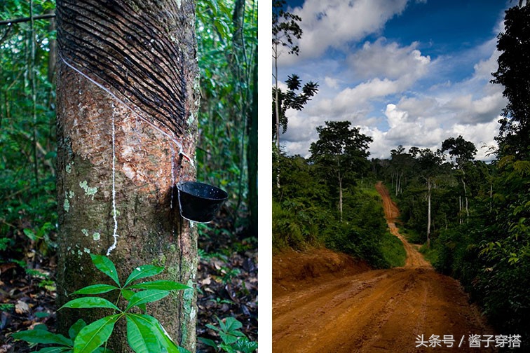 2017匡威秋季新款鞋,帆布鞋匡威万斯