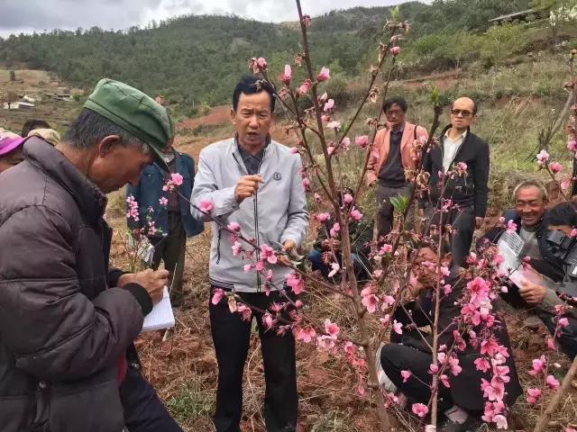 大理技师学院主要学哪些,大理技师学院2016年