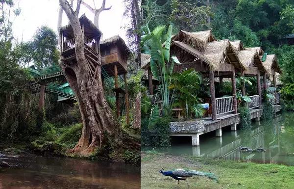 泼水节西双版纳旅游需要注意什么,西双版纳泼水节防晒攻略