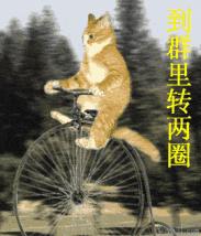 QQ微信聊天必备搞笑GIF表情包（010期）