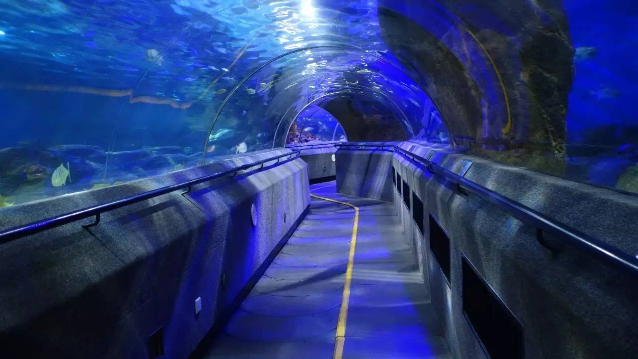 大连好玩的地方滨海路,大连东北路有什么好玩的