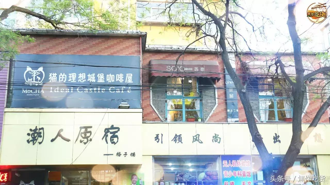 猫咖郑州焦作,焦作猫咖推荐