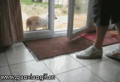 看着都疼的跑酷失败,看着都疼的跑酷动作