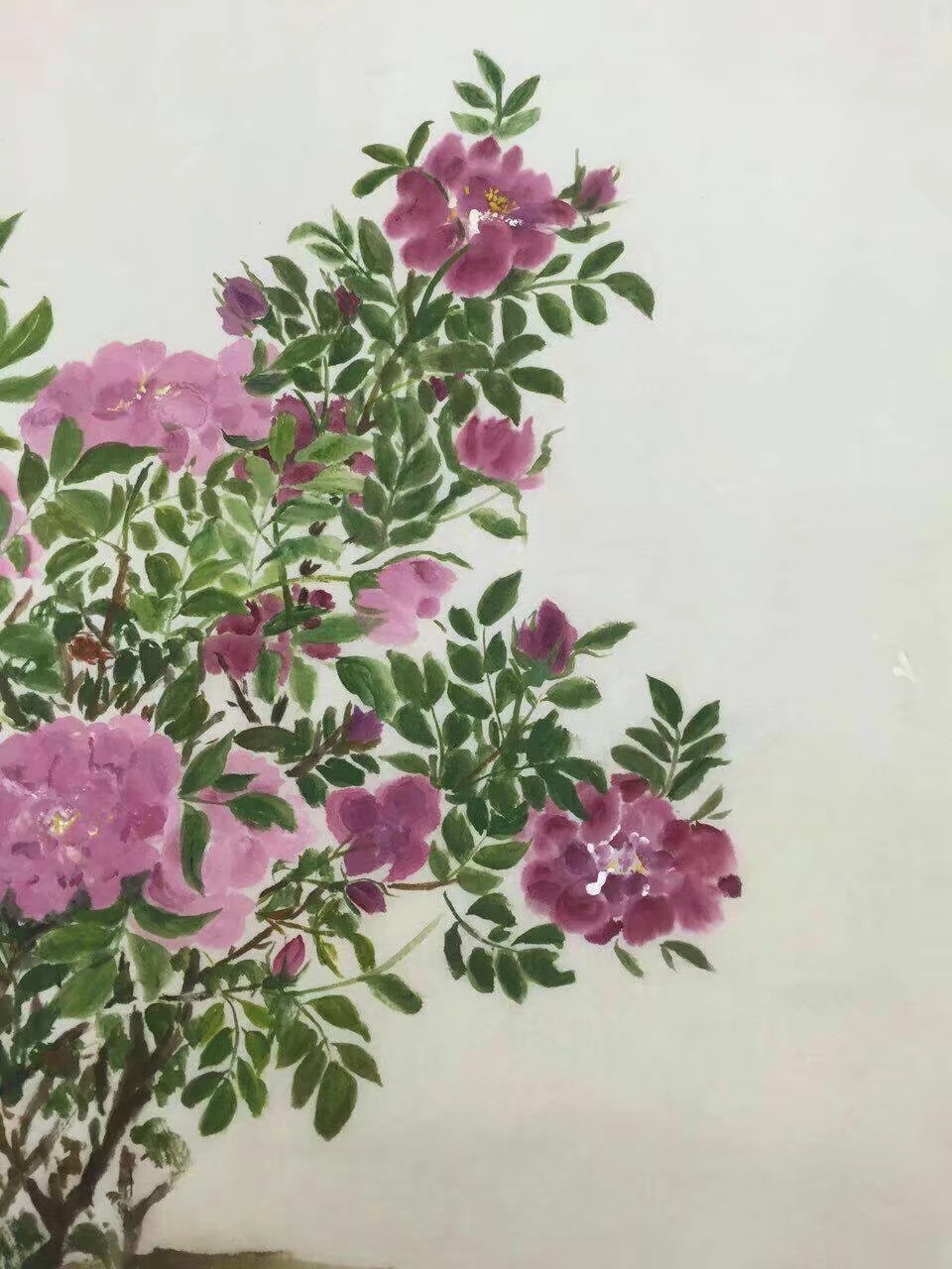 李玉梅梅花奖,作家李玉梅图文