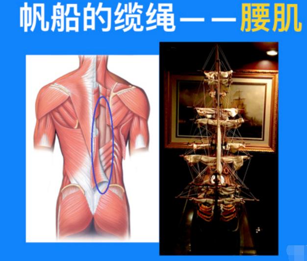 为什么腰椎越舒服越不健康,腰椎不舒服的看过来