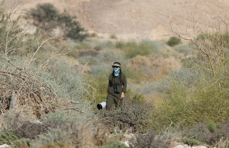 中东荒漠中的“特殊旅行”
