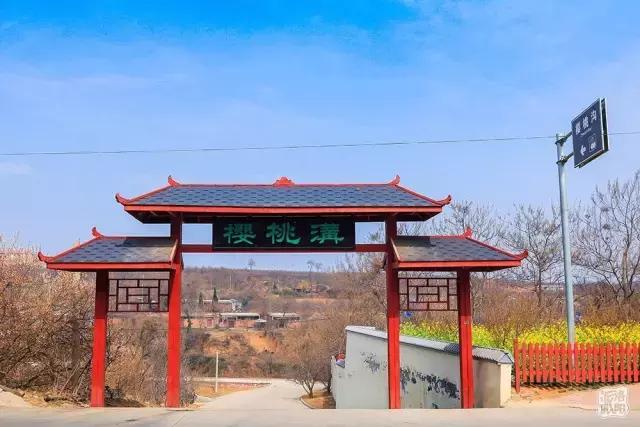 洛阳新安县樱桃采摘园,洛阳樱桃沟摘樱桃