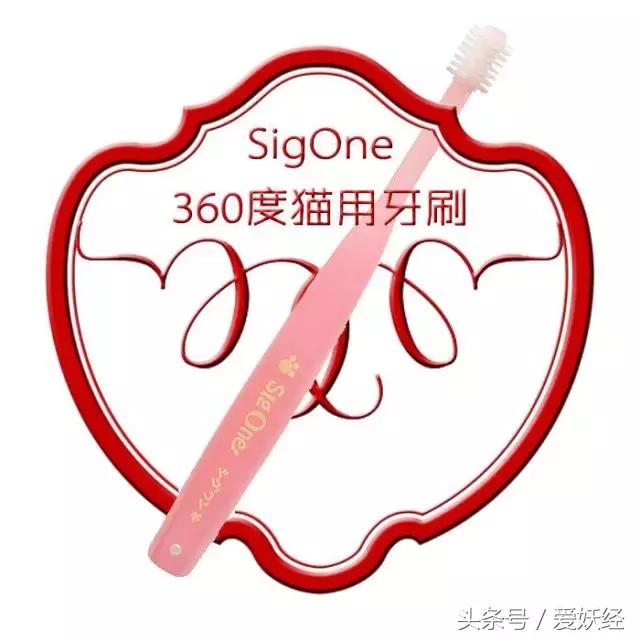 热门网红猫咪牙刷测评,猫咪牙刷测评红黑榜