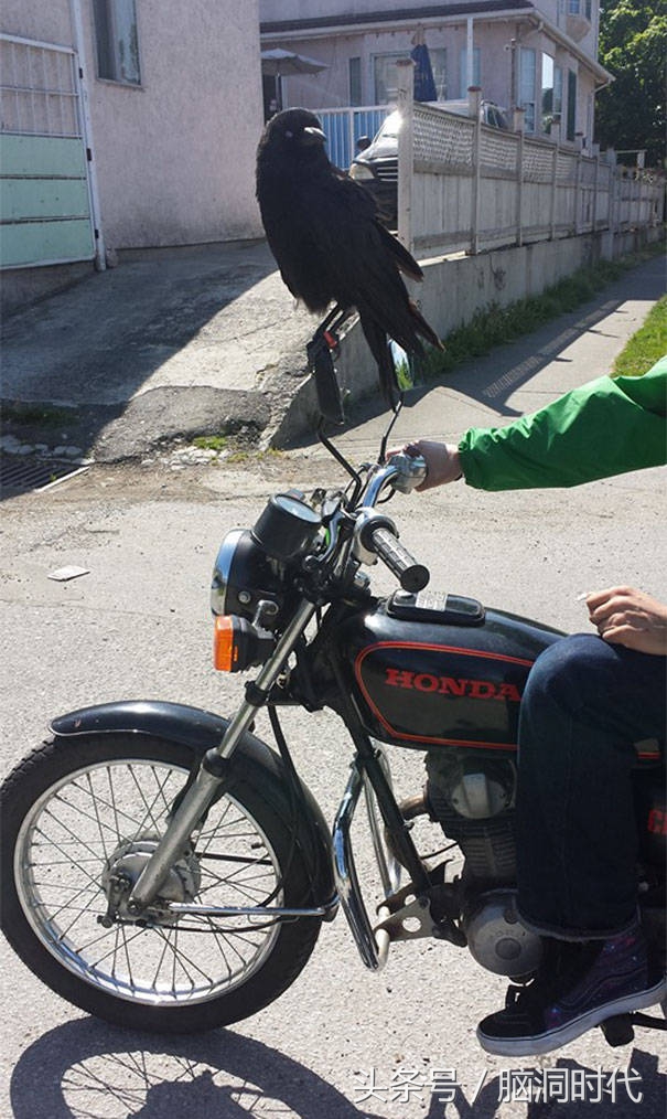 来！给鸦哥上支烟！