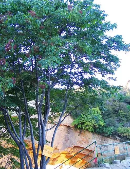 密云很少人知道的地方,密云发现神秘遗址