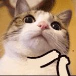 你喝的茶有多脏,看看这些就知道