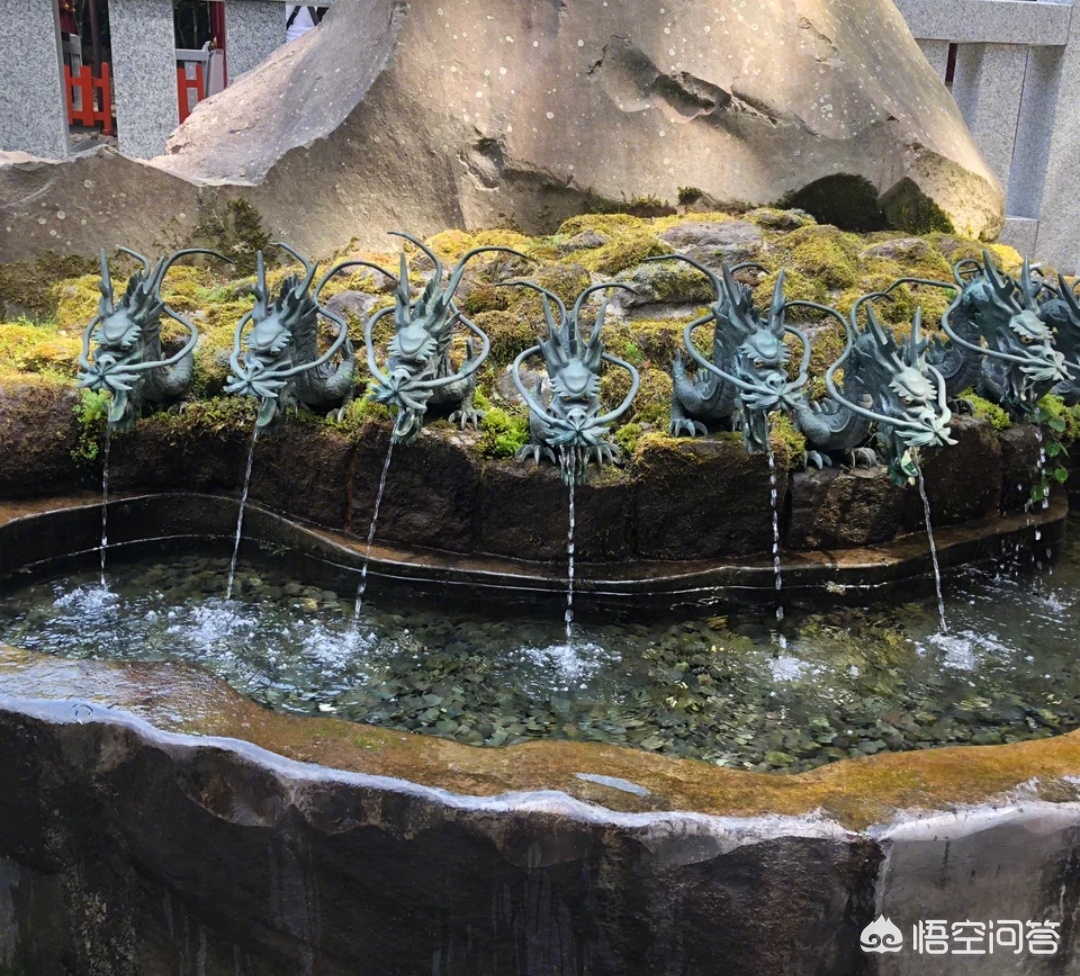 带着父母旅行景点,带着父母去旅行好不好