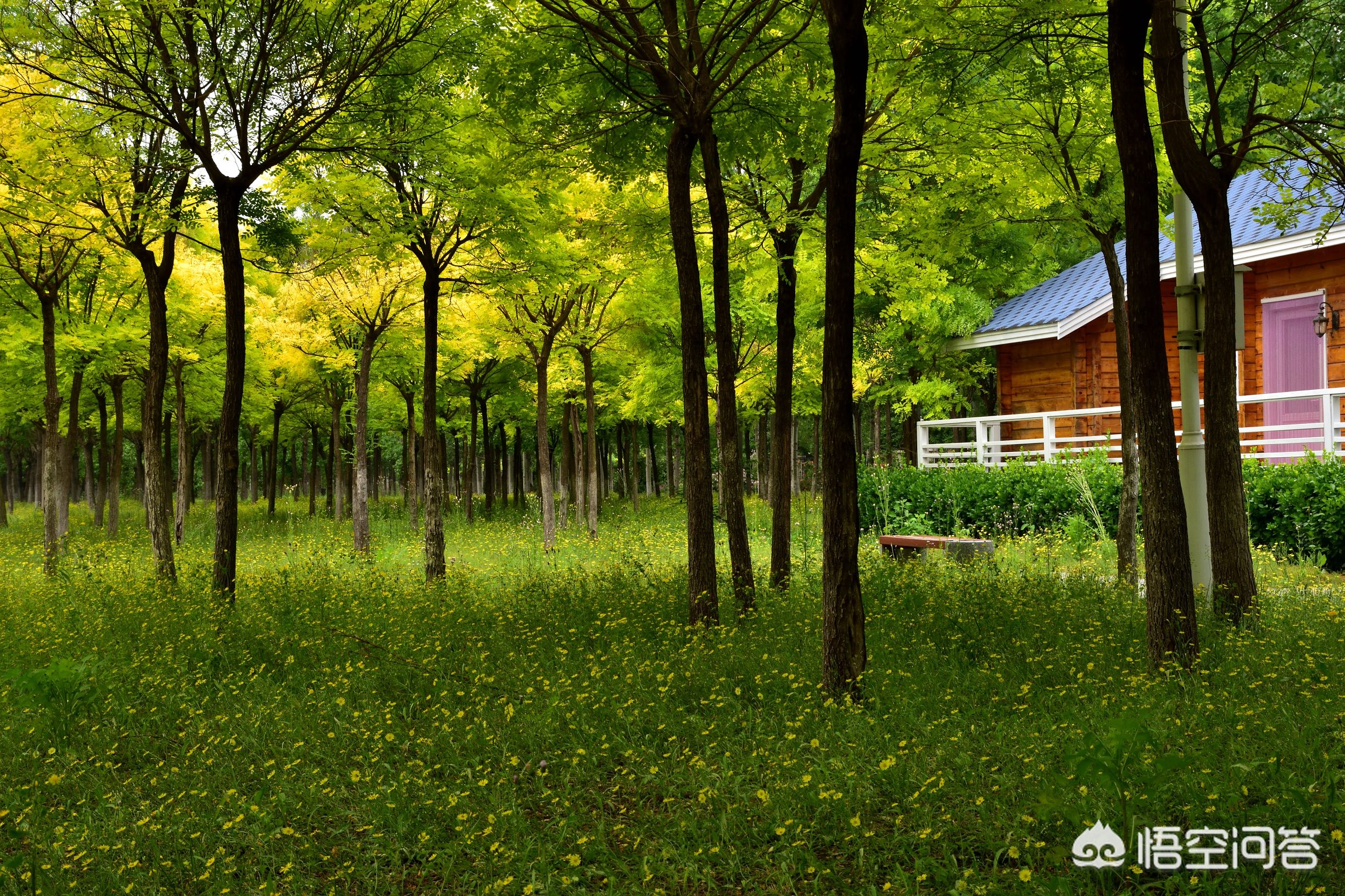 24日旅游精选：酒店里这些玩意儿，到底是干嘛的啊？