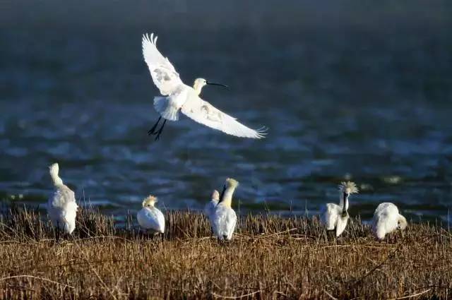 天津景区门票价格大全表,天津景区门票大全最新价格