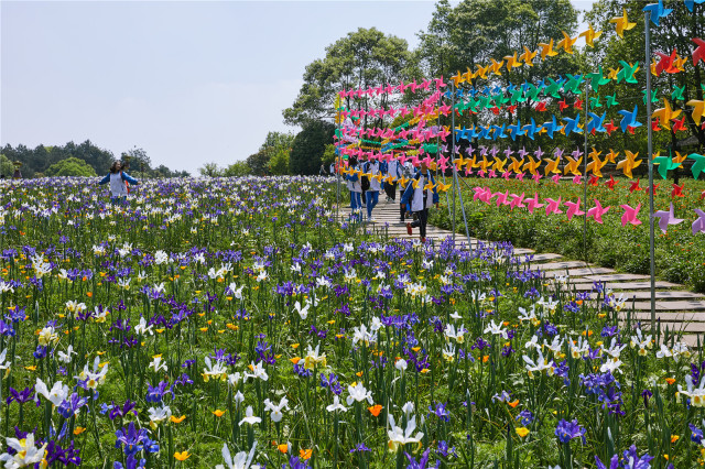 成都去石象湖的游玩攻略,成都石象湖门票哪个月去最佳