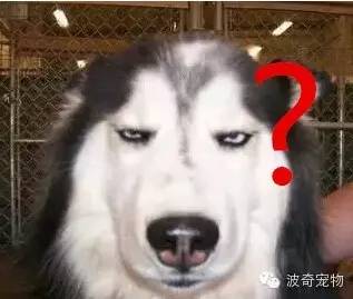 共享单车骑行常识及注意事项,使用共享单车注意哪些安全行为