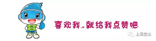 五四专场招工,宝山市下周招聘会