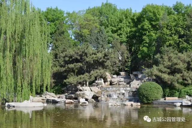 北京石景山国际雕塑公园开放了吗,石景山城市绿雕翻新