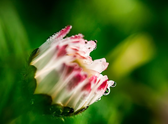 熬夜肚子不舒服老想大便,熬夜多老是想大便怎么解决