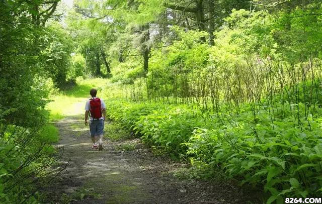 blackyak涓婃捣,blackyak