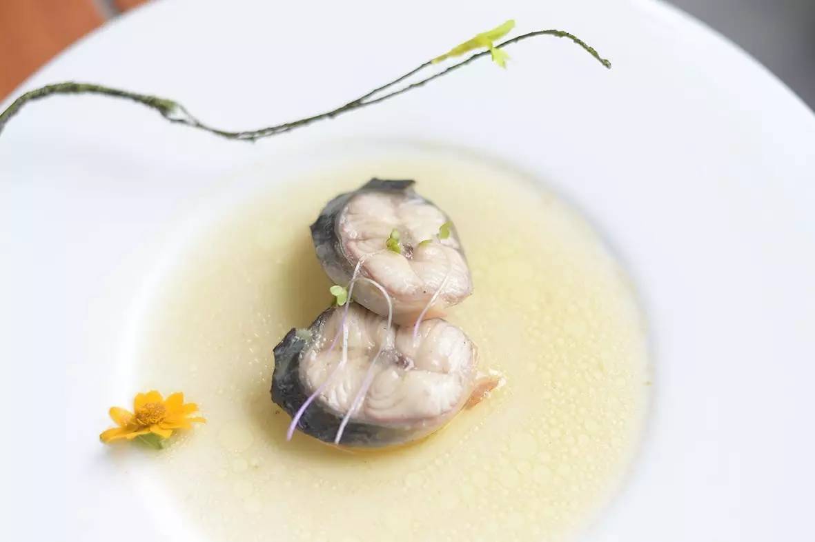 四月烟雨，深圳春日水墨氤氲中的江南旬之味