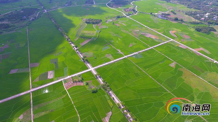 三亚文门村简介,三亚千年古寨文门村