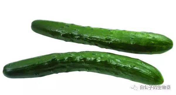 生孩子是怎么回事？反正不是好事，只有切身体验过才会懂！