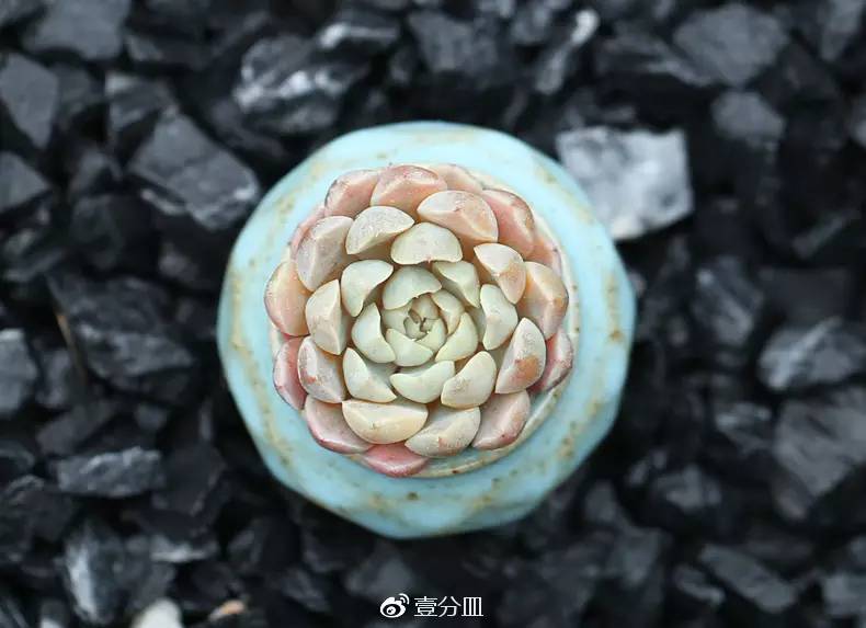 滚蛋吧，黑腐君！深度解析黑腐成因和解决之道