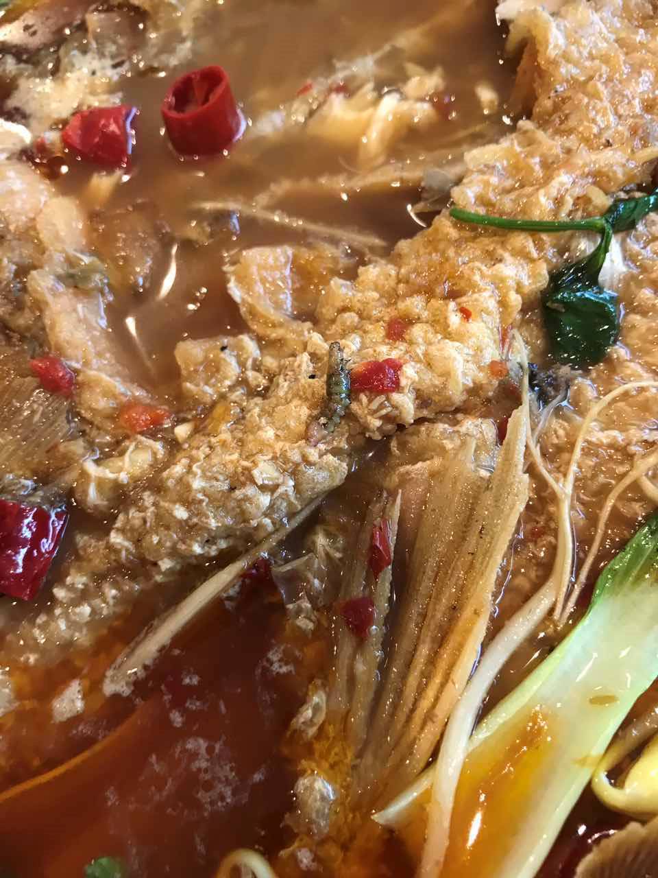 广州烤鱼吃出虫子,新西兰博主海边吃海鲜吃出寄生虫