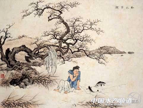 日供鲤鱼八千条，这家公司怎样把冷门的鲤鱼逆转成餐饮热点？